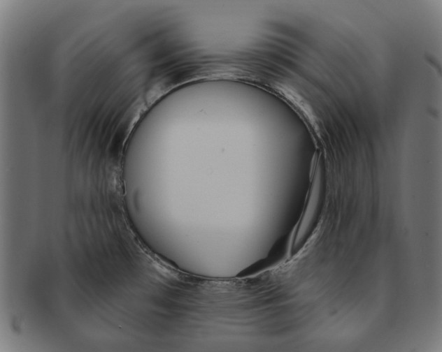 X0000091231481200709061509
