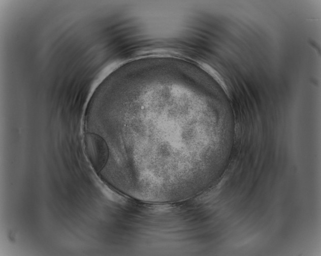 X0000091231482200709061509