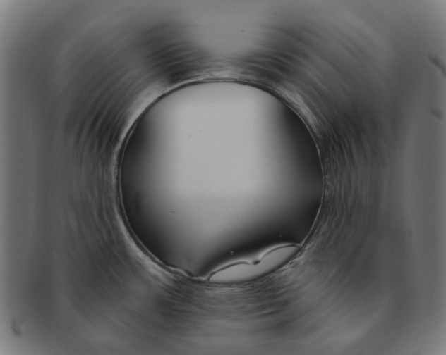 X0000091231483200709061509