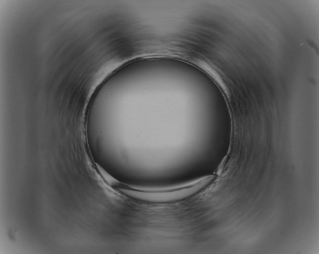 X0000091231485200709061509