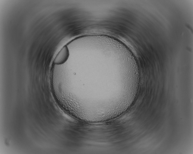 X0000091231486200709061509