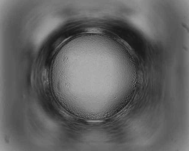 X0000091231487200709061509