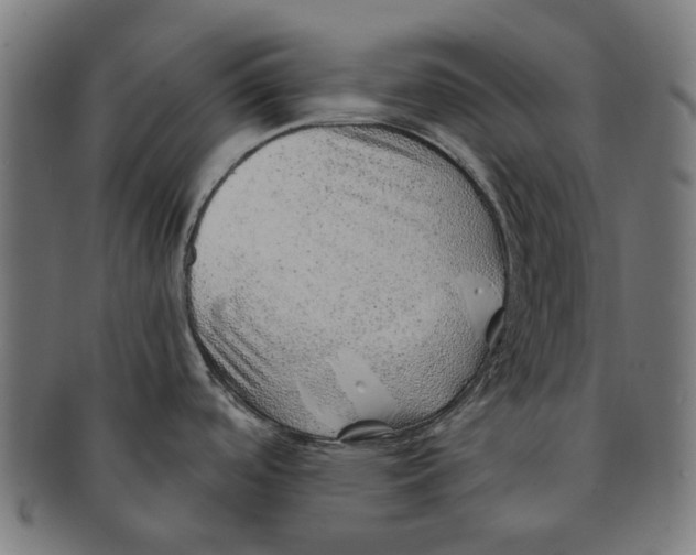 X0000091231488200709061509