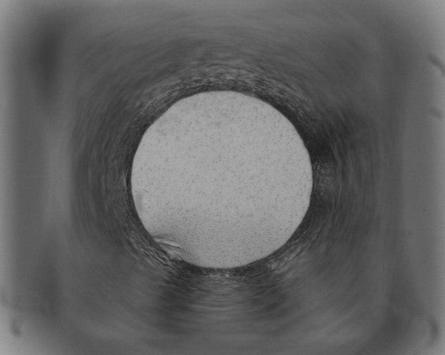 X0000091231489200709061508