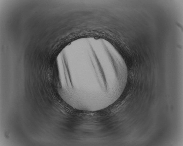 X0000091231490200709061508