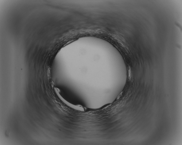 X0000091231492200709061508