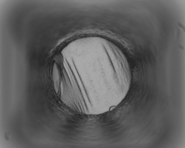 X0000091231494200709061508