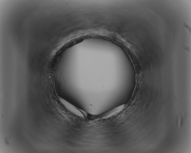 X0000091231496200709061509