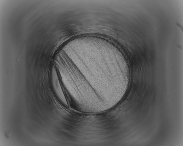 X0000091231497200709061509