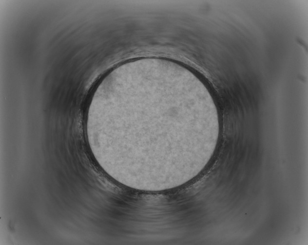 X0000091231498200709061509