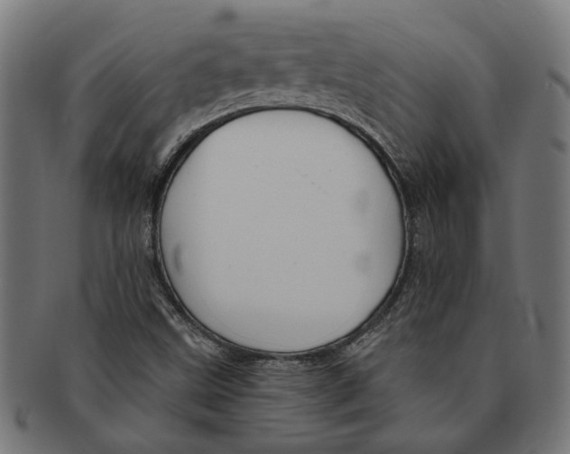 X0000091231499200709061509