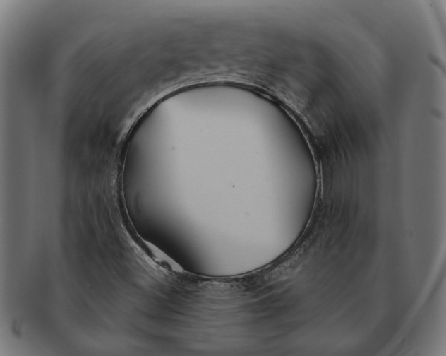 X0000091231500200709061509