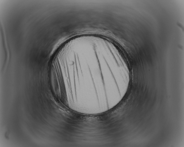 X0000091231501200709061509