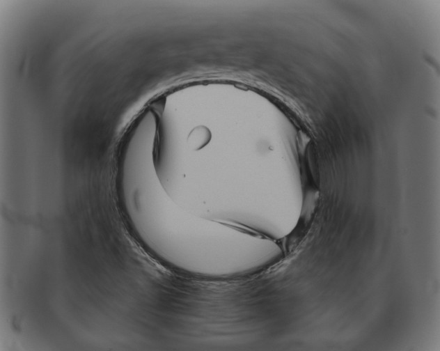 X0000091231502200709061509