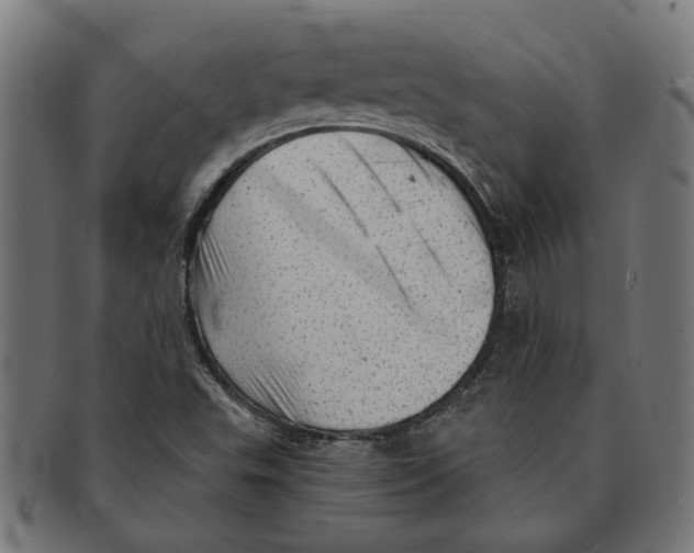 X0000091231503200709061509