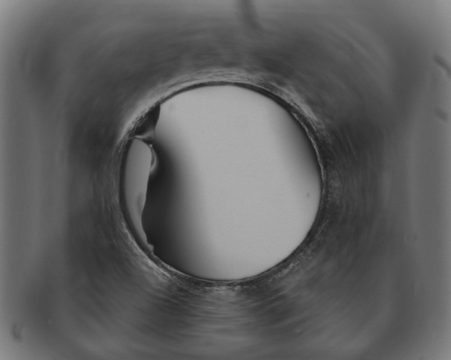 X0000091231504200709061509
