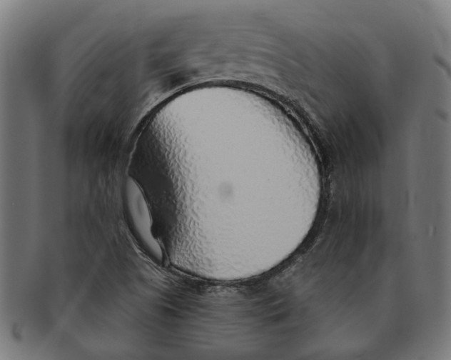 X0000091231505200709061509
