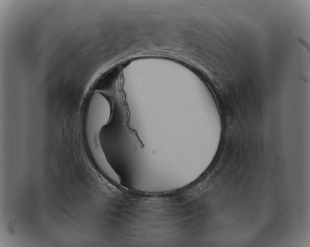 X0000091231506200709061509