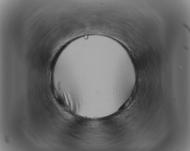 X0000091231507200709061509