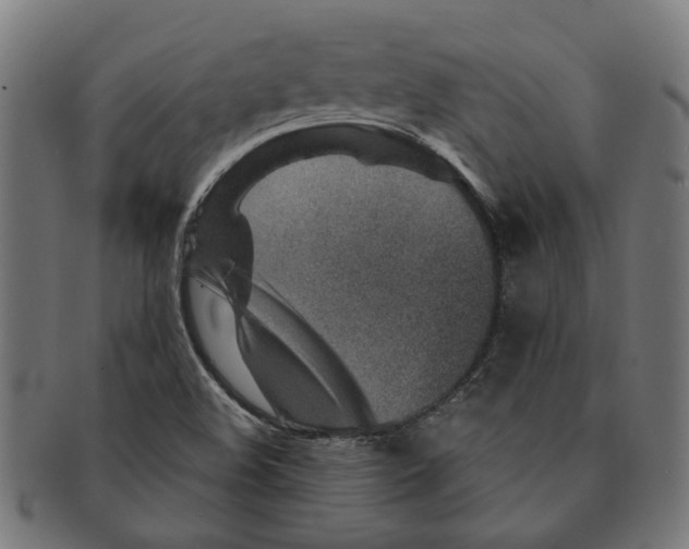X0000091231508200709061509