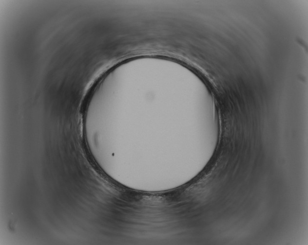 X0000091231509200709061509