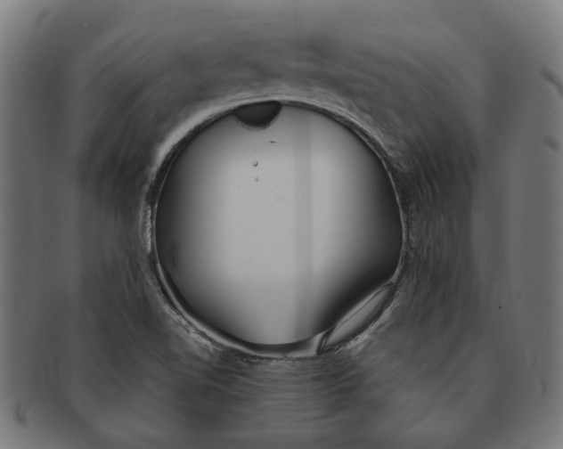 X0000091231510200709061509