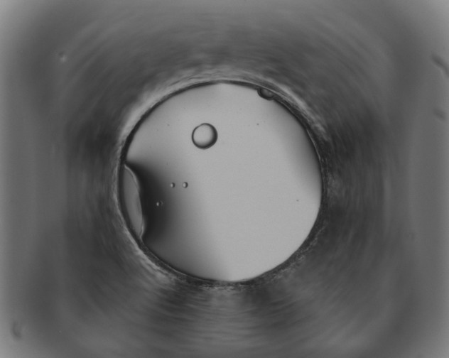 X0000091231512200709061509