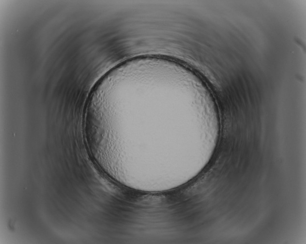 X0000091231513200709061509