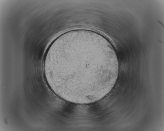 X0000091231514200709061509