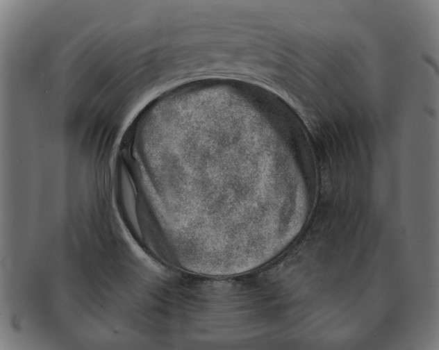 X0000091231515200709061509