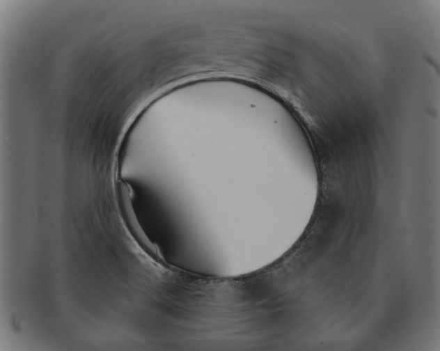 X0000091231516200709061509