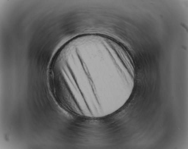 X0000091231517200709061509