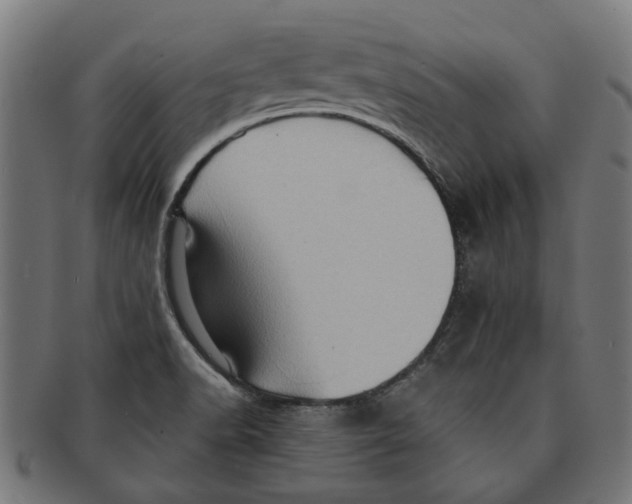 X0000091231518200709061509