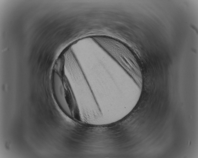 X0000091231519200709061509