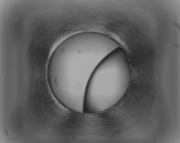 X0000091231520200709061509