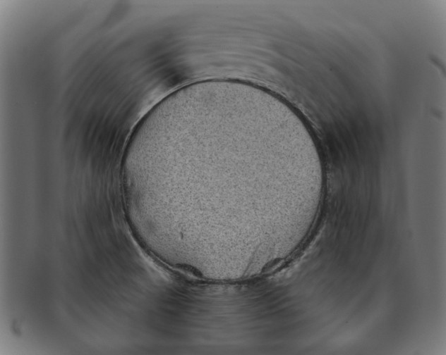 X0000091231521200709061509