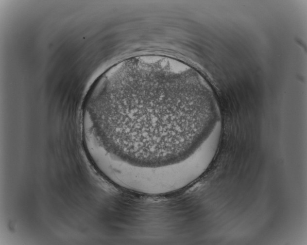 X0000091231522200709061509