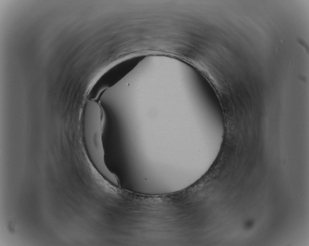 X0000091231524200709061509