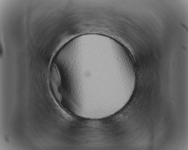X0000091231525200709061509