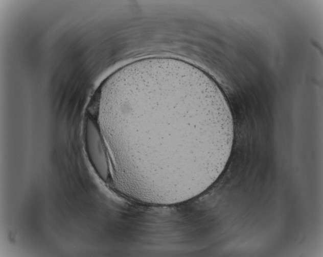 X0000091231526200709061509