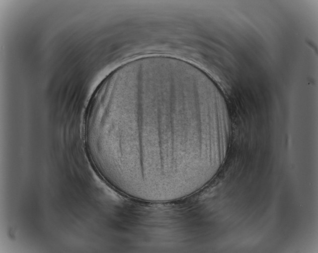 X0000091231527200709061509