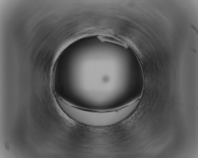 X0000091231528200709061509
