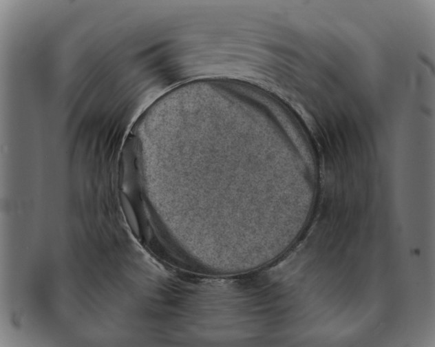 X0000091231529200709061509