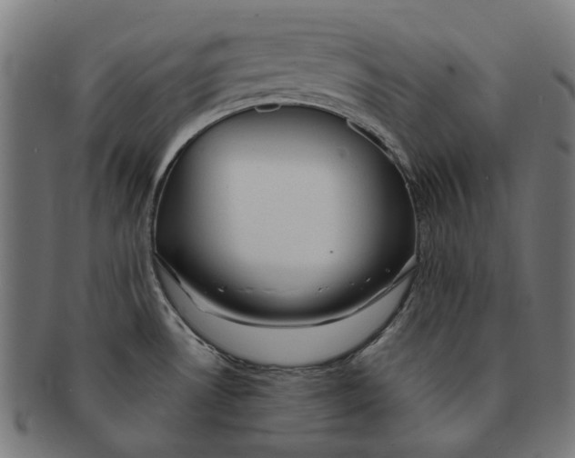 X0000091231530200709061509