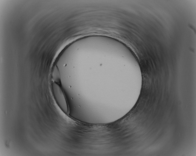 X0000091231531200709061509