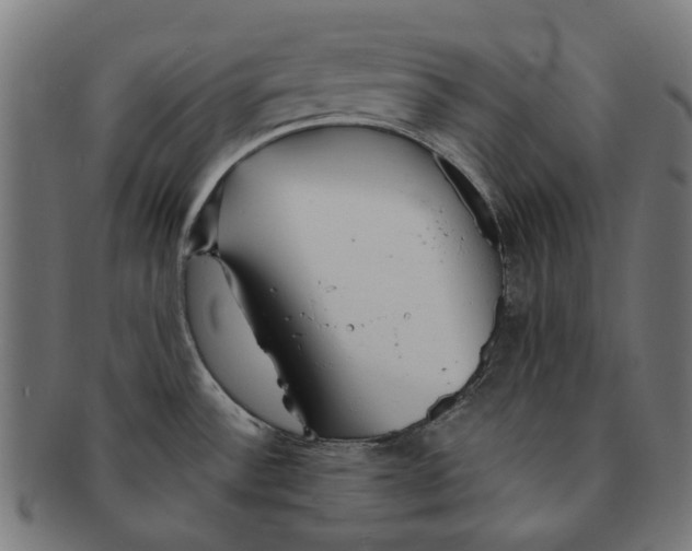 X0000091231532200709061509