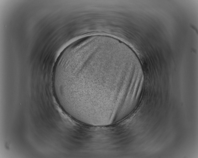 X0000091231534200709061509