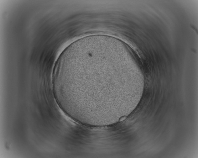 X0000091231535200709061509