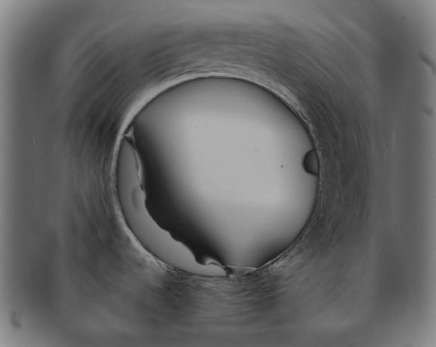 X0000091231536200709061509