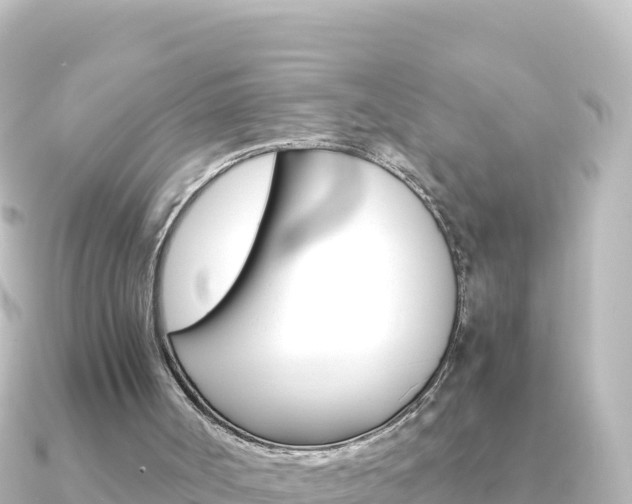 X0000091240002200708091139
